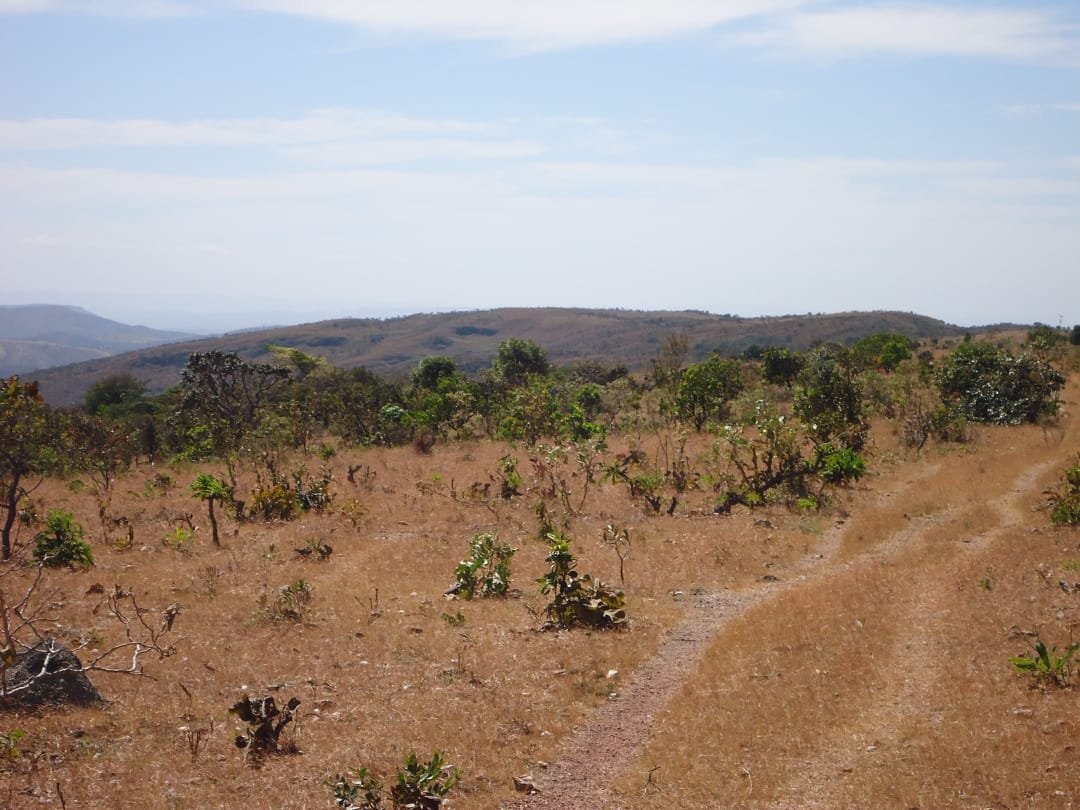 Fazenda à Venda – Município de Niquelândia/GO
