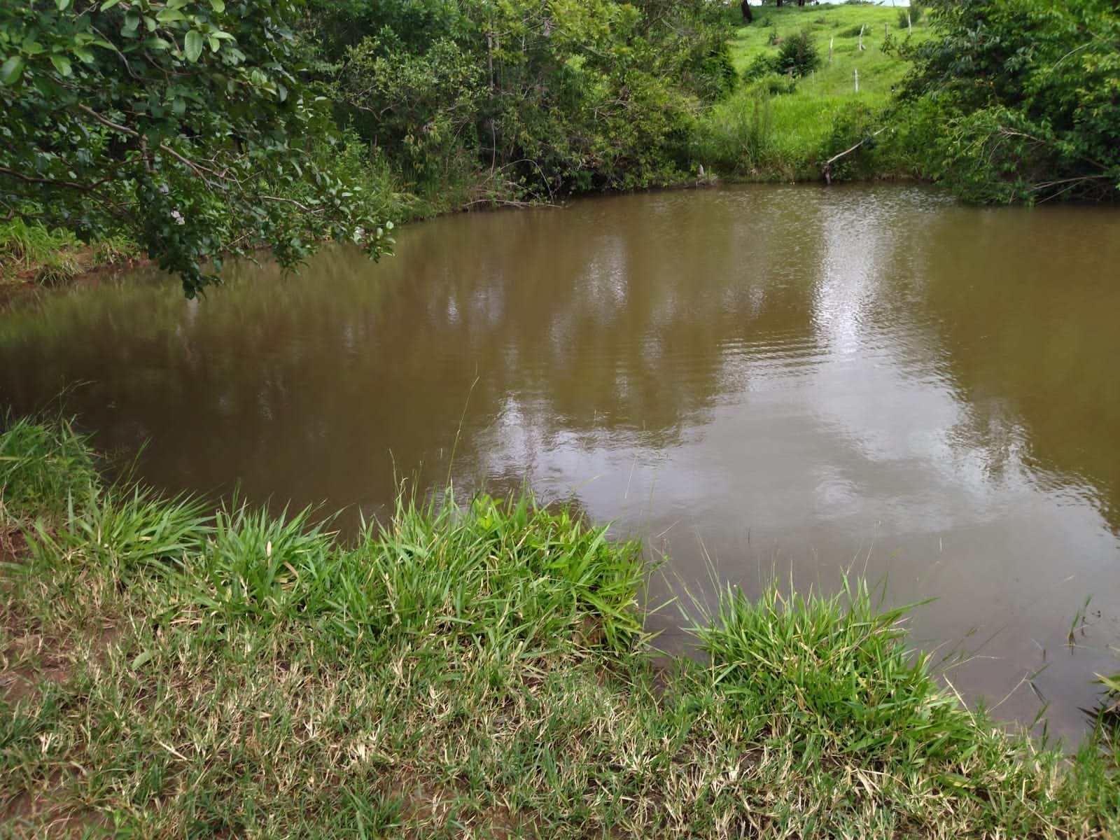 Fazenda de 25 Hectares com Escritura em Bonfinópolis - Ideal para Pecuária