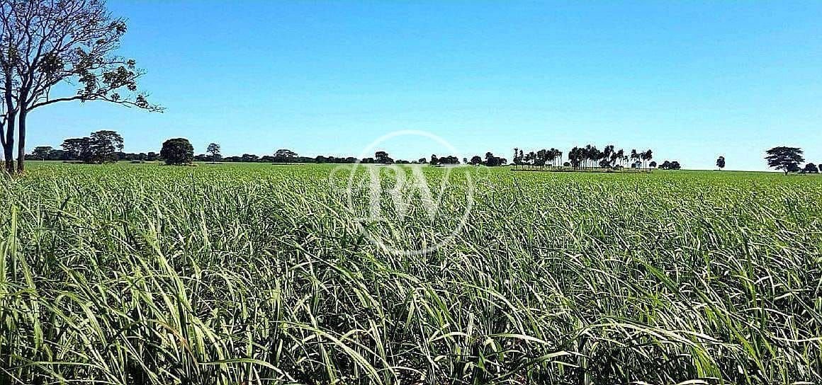Fazenda à venda, rural, Quirinópolis, GO