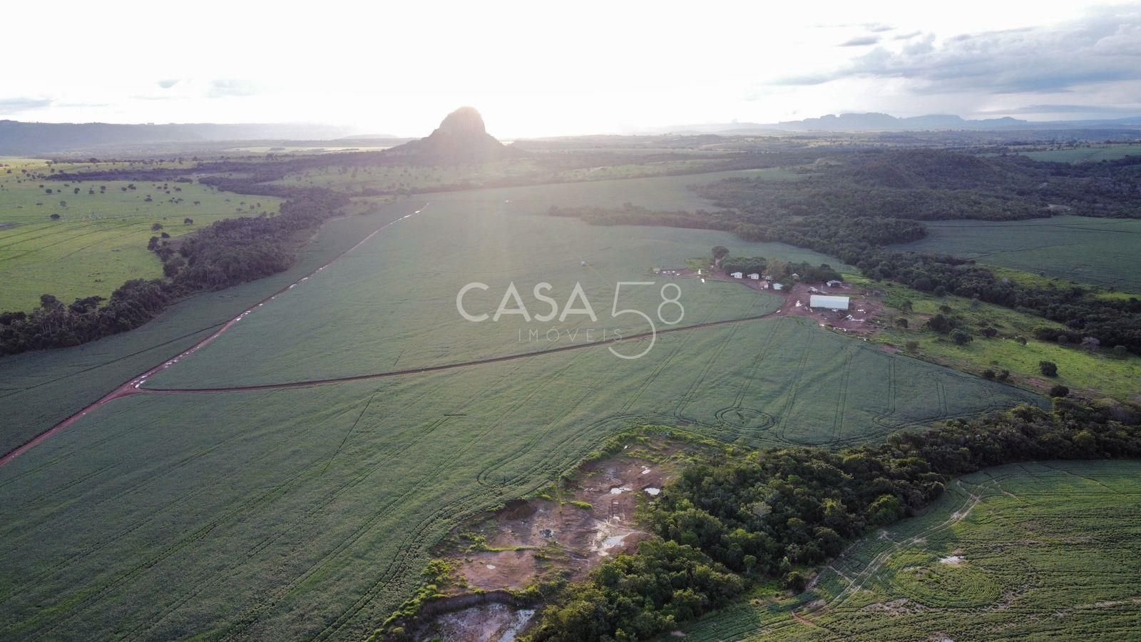 Fazenda de 11.963 ha à Venda em Caiapônia – GO | Alta Produtividade para Grãos
