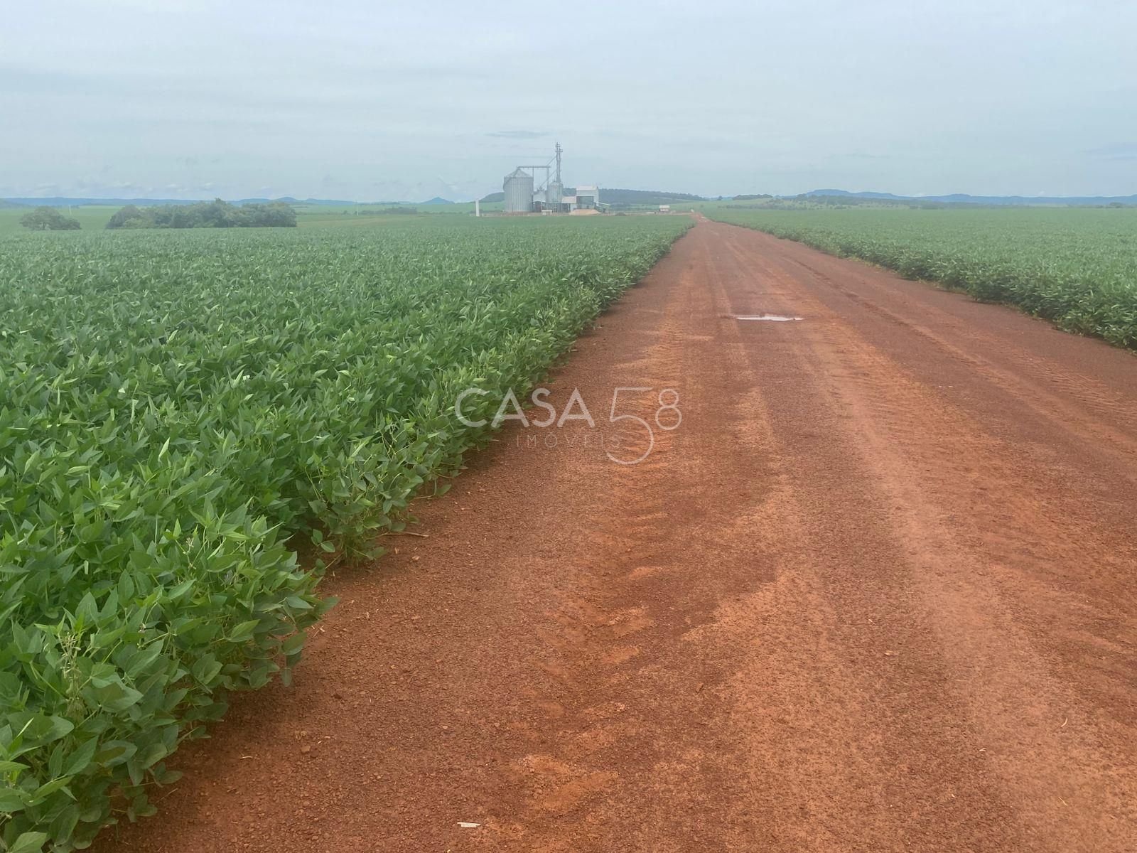 Fazenda de 11.963 ha à Venda em Caiapônia – GO | Alta Produtividade para Grãos