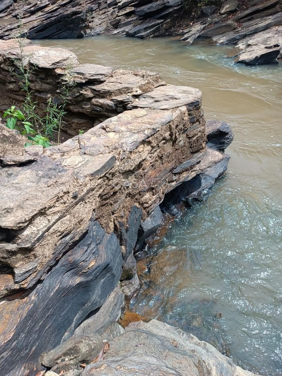 Fazenda à Venda com 36 Alqueires em São Miguel do Passa Quatro – GO