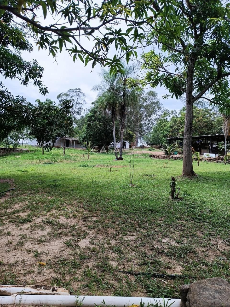 Fazenda à Venda com 36 Alqueires em São Miguel do Passa Quatro – GO