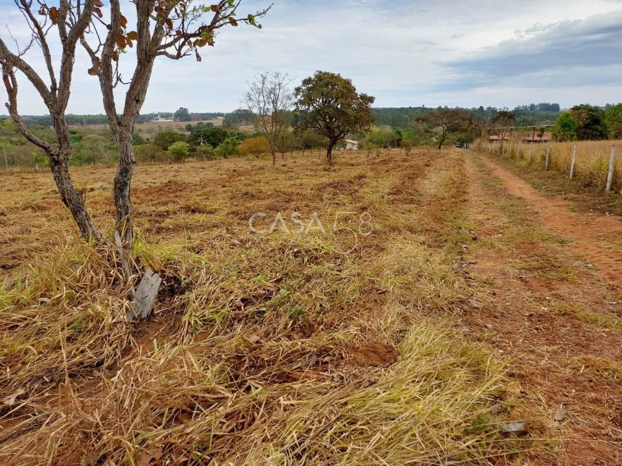 Fazenda à Venda com 36 Alqueires em São Miguel do Passa Quatro – GO