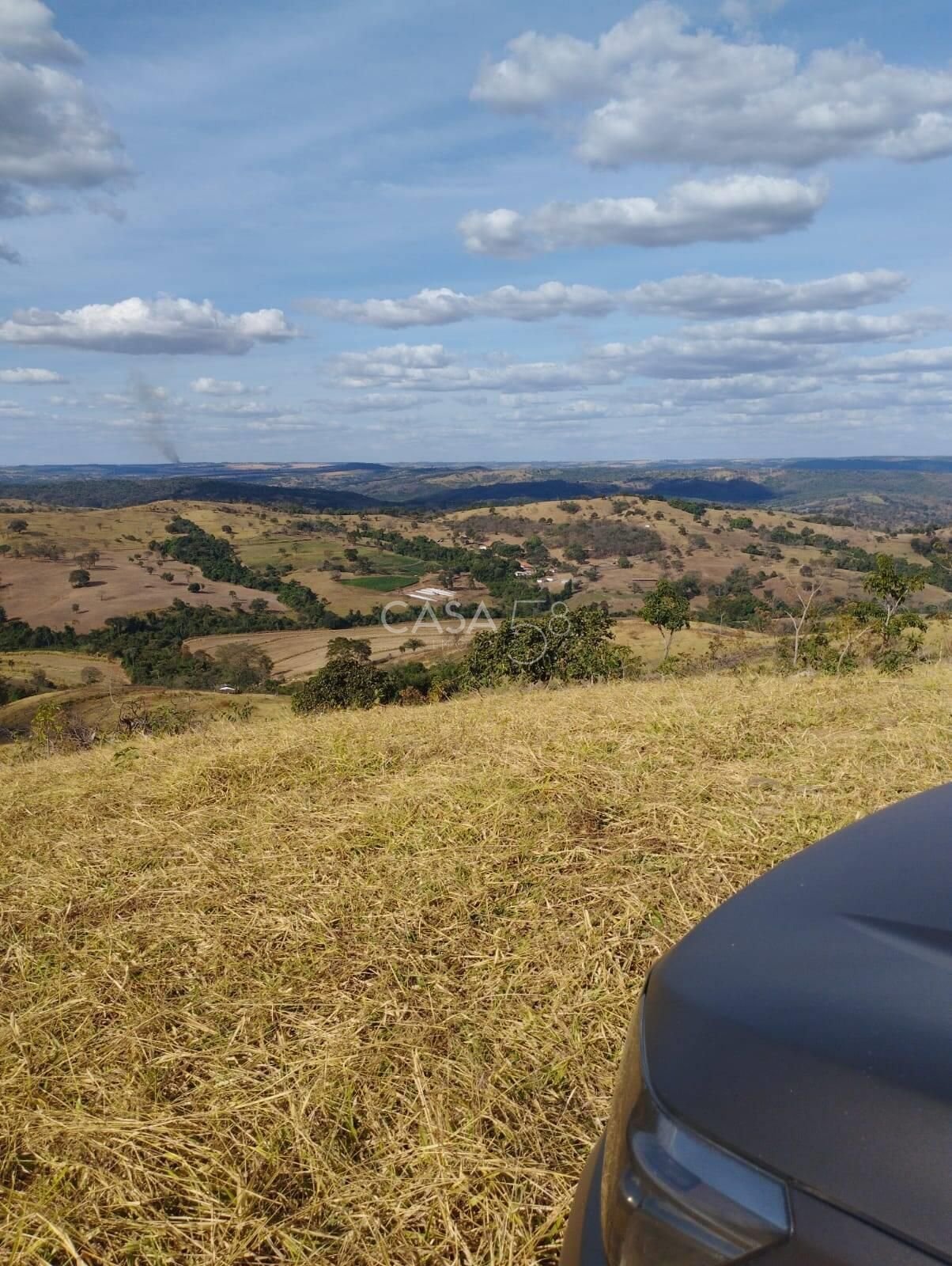 Fazenda à Venda em Bonfinópolis – GO | 145 Alqueires | Plantio + Pecuária