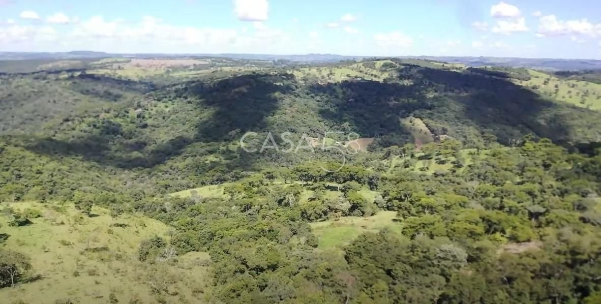 Fazenda à Venda em Bonfinópolis – GO | 145 Alqueires | Plantio + Pecuária