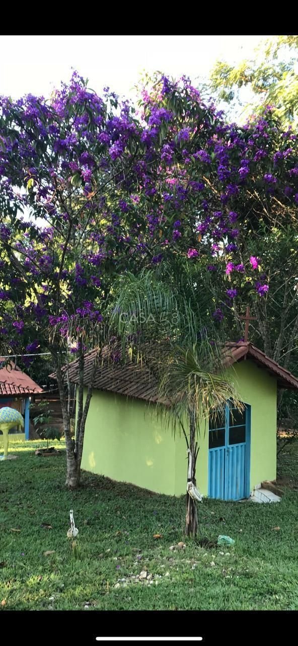 Fazenda à Venda em Bela Vista de Goiás – GO | 35 Alqueires | 25 em Lavoura