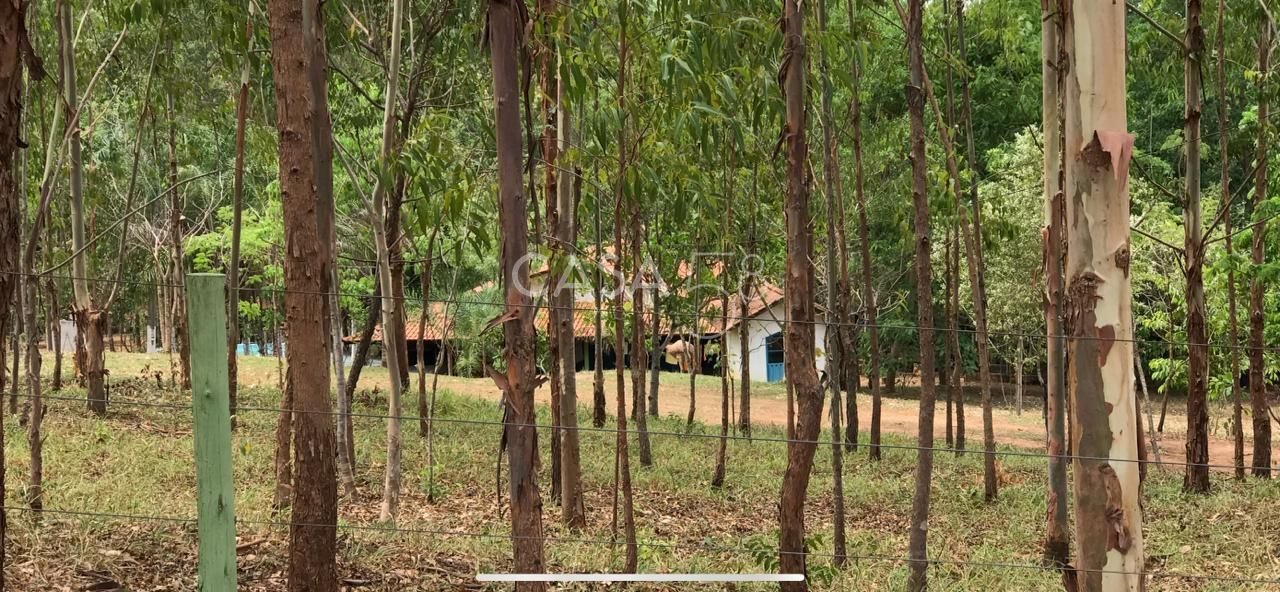 Fazenda à Venda em Bela Vista de Goiás – GO | 35 Alqueires | 25 em Lavoura
