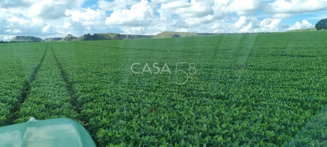 Fazenda à Venda em MineirosGO 126 Alqueires 335 ha em Lavoura Solo de Qualidade