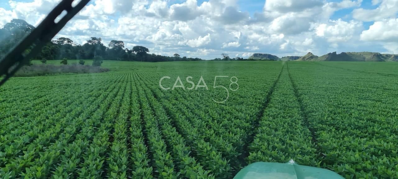 Fazenda à Venda em MineirosGO 126 Alqueires 335 ha em Lavoura Solo de Qualidade