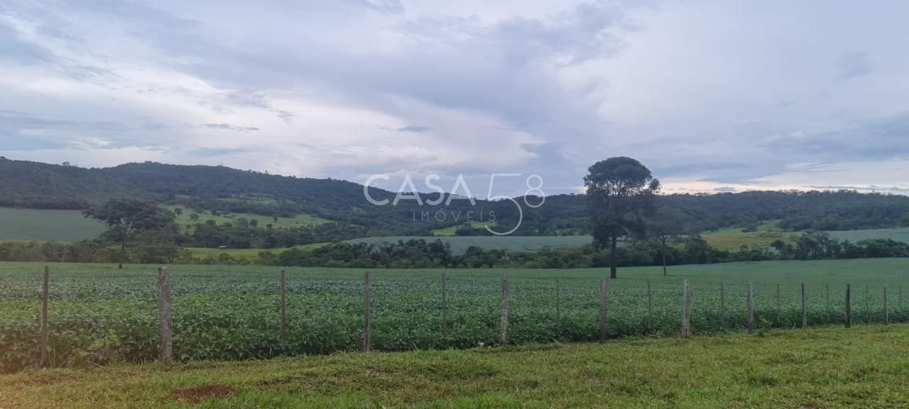 Fazenda à Venda em MineirosGO 126 Alqueires 335 ha em Lavoura Solo de Qualidade