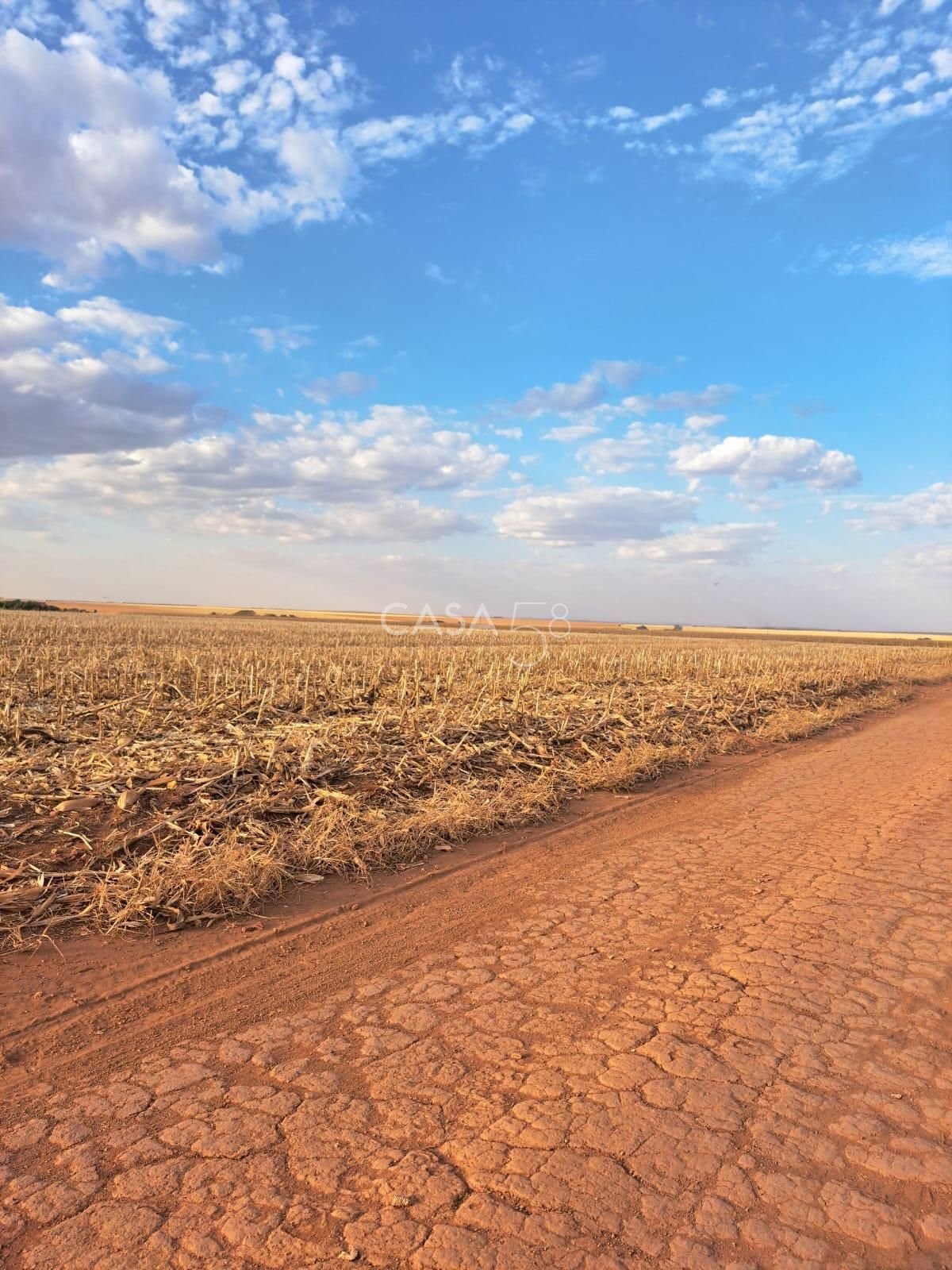Fazenda à Venda em Inhumas-GO – 919,6 Hectares de Potencial Produtivo