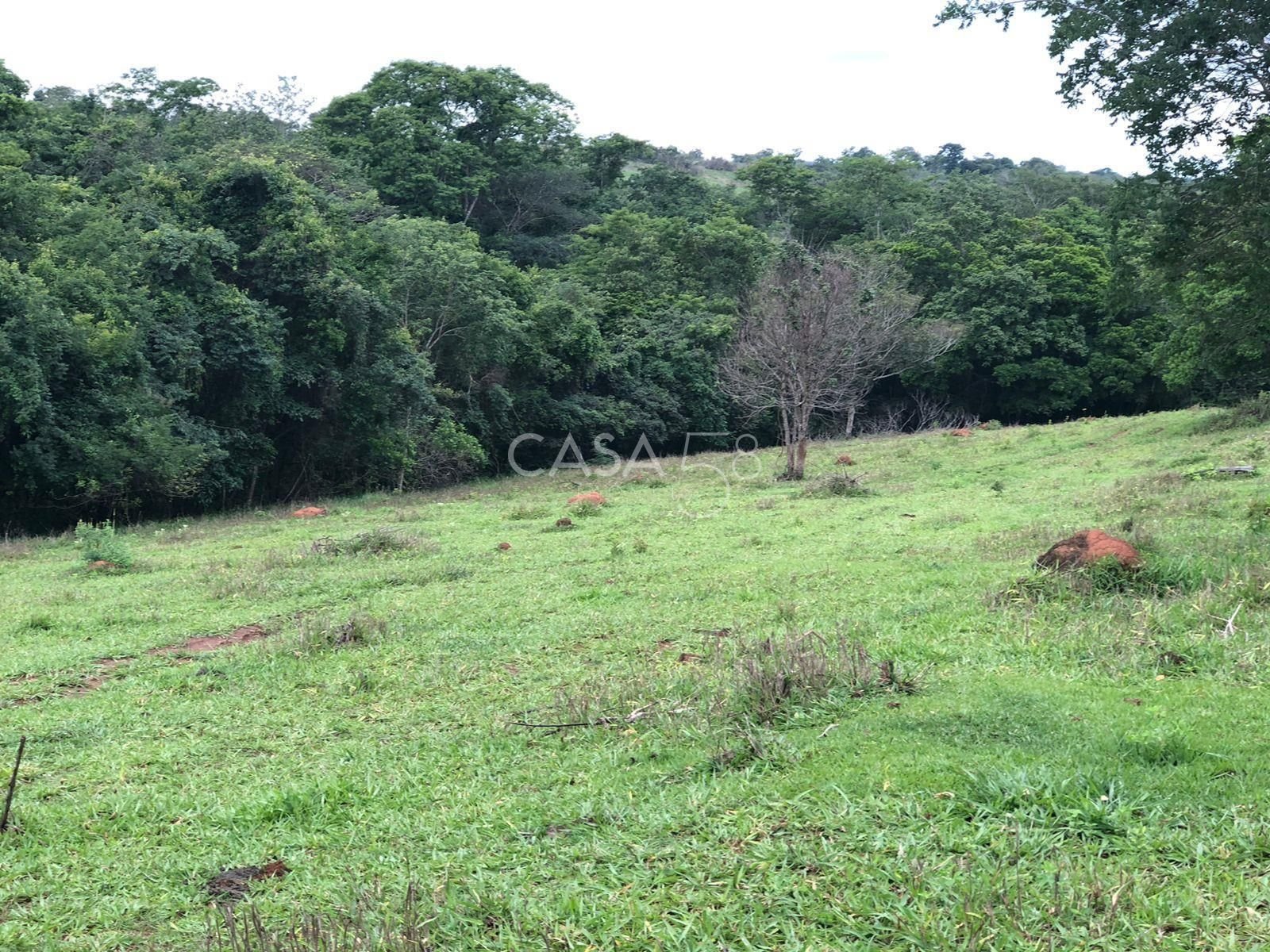 Fazenda à Venda em Marzagão-GO – 240 Alqueires | Pecuária Estruturada