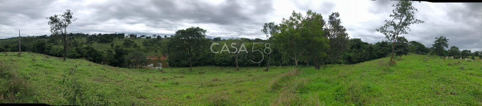 Fazenda à Venda em Marzagão-GO – 240 Alqueires | Pecuária Estruturada