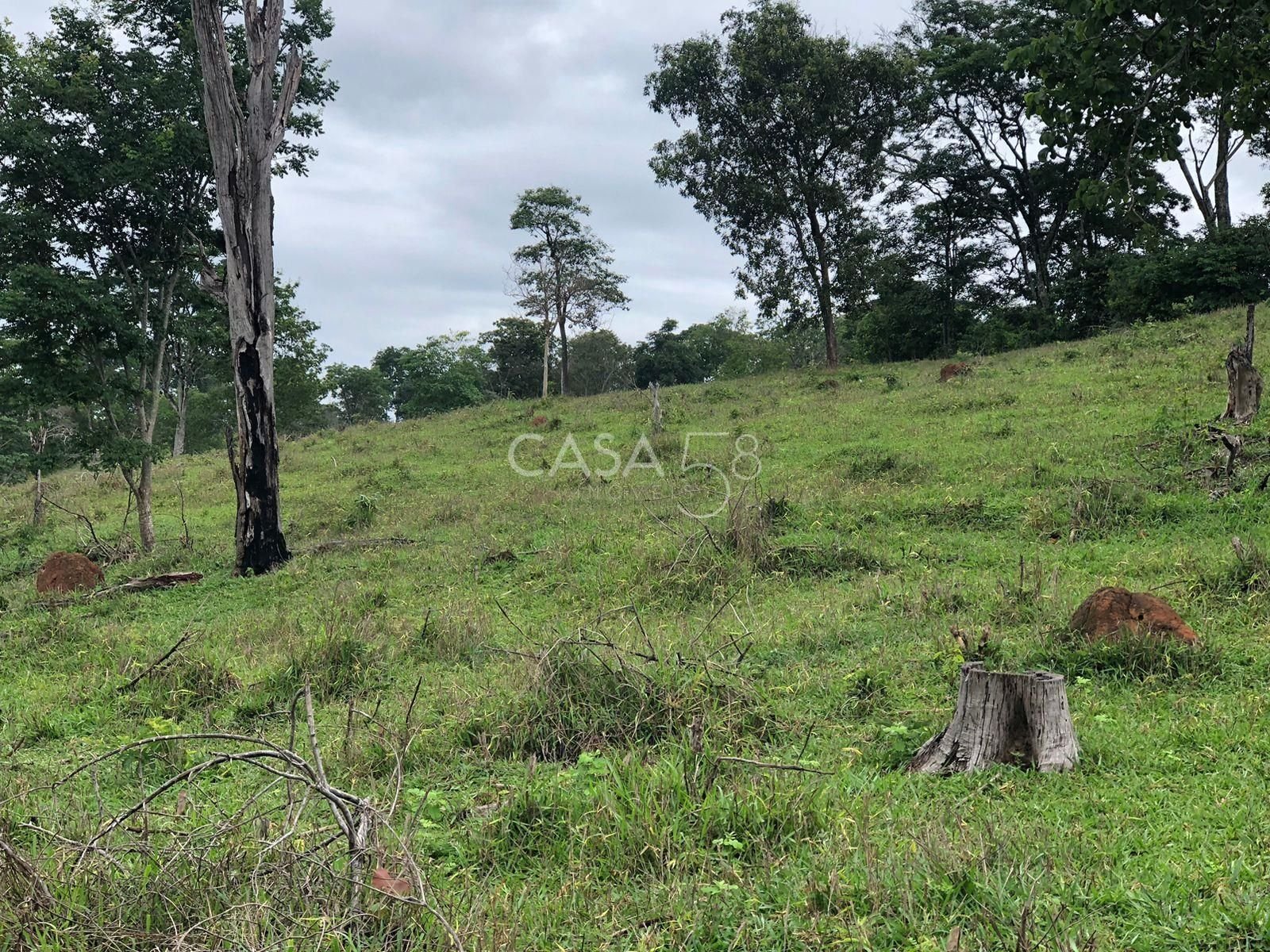 Fazenda à Venda em Marzagão-GO – 240 Alqueires | Pecuária Estruturada