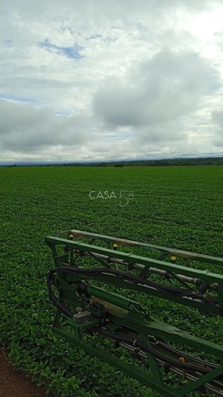 Fazenda à Venda no Vale do Araguaia – Dois Irmãos/TO – 205 Alqueires