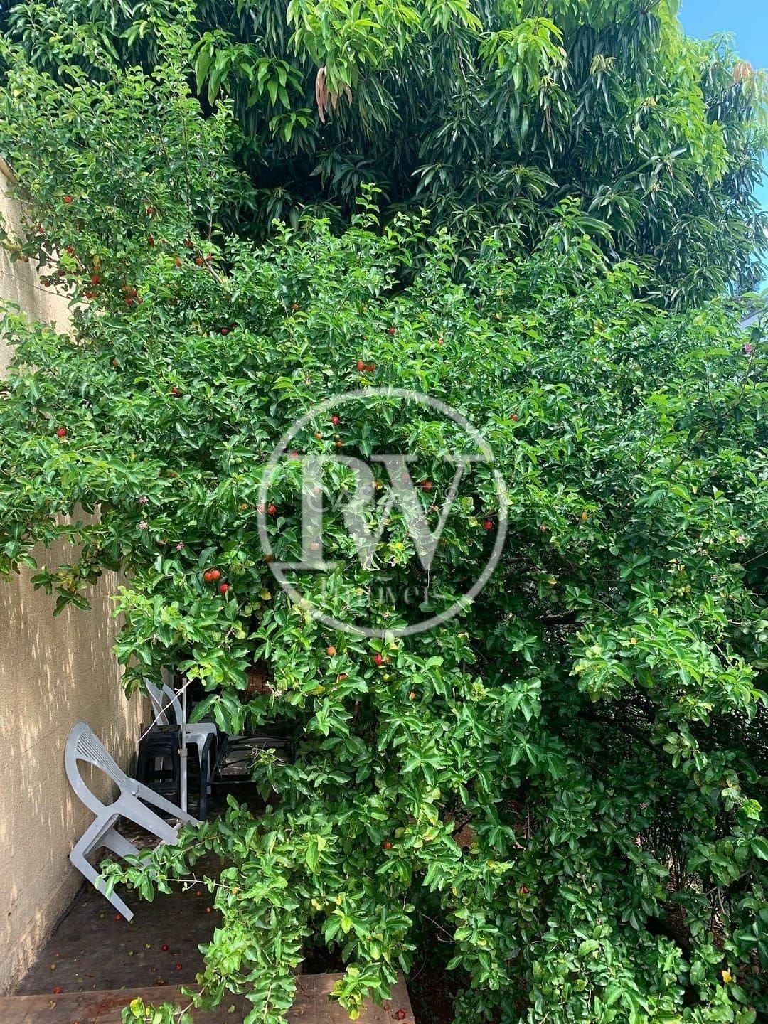 Terreno de 1.250 m² | 324 m² Construídos | 5 Suítes + Escritório